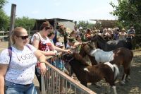 Военно-полевой выход воспитанников приходской воскресной школы в балку Джериганово