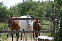 Военно-полевой выход воспитанников приходской воскресной школы в балку Джериганово