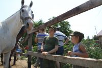Военно-полевой выход воспитанников приходской воскресной школы в балку Джериганово