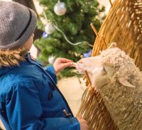 Выставка «Дон Православный»