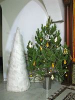 Рождество Христово