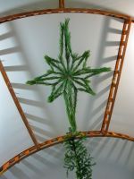 Рождество Христово