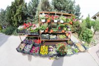 Престольный праздник