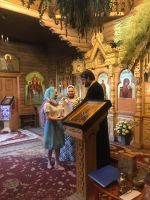 Выпуск в Школе звонарей