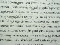 Встреча настоятеля с Ольгой Варламовой