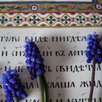 Фестиваль Calligrafest