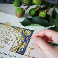 Фестиваль Calligrafest