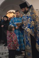 Введение во храм Пресвятой Богородицы