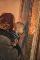 Введение во храм Пресвятой Богородицы