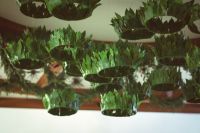 Всенощное бдение в престольный праздник