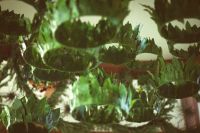 Всенощное бдение в престольный праздник