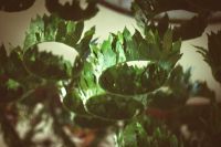 Всенощное бдение в престольный праздник