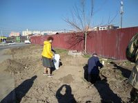 Престольный праздник храма 40 Севастийских мучеников