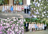 Выпускной в Родничке