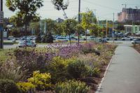 Визит съёмочной группы телеканала Дон-ТР