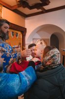 С праздником Введения во храм Пресвятой Богородицы!