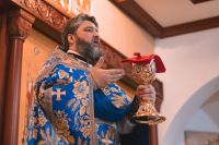 С праздником Введения во храм Пресвятой Богородицы!