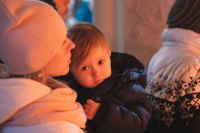 С праздником Введения во храм Пресвятой Богородицы!