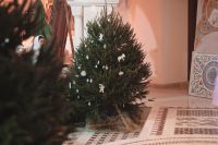 С Рождеством Христовым!