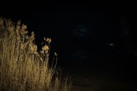 С праздником Крещения Господня!