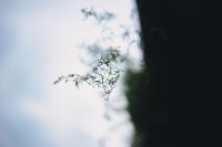 Престольный праздник в честь 40 Севастийских мучеников