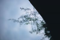 Престольный праздник в честь 40 Севастийских мучеников