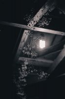 Престольный праздник в честь 40 Севастийских мучеников