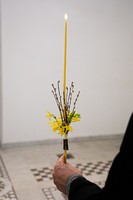 С праздником Входа Господня в Иерусалим, братья и сёстры!