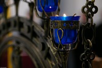 С праздником Входа Господня в Иерусалим, братья и сёстры!