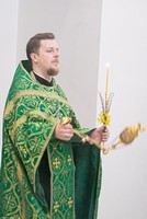 С праздником Входа Господня в Иерусалим, братья и сёстры!