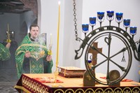 С праздником Входа Господня в Иерусалим, братья и сёстры!