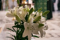 С праздником Входа Господня в Иерусалим, братья и сёстры!