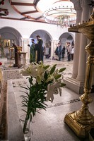 С праздником Входа Господня в Иерусалим, братья и сёстры!