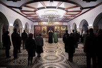 С праздником Входа Господня в Иерусалим, братья и сёстры!