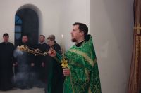 С праздником Входа Господня в Иерусалим, братья и сёстры!