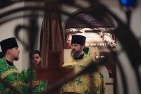 С праздником Входа Господня в Иерусалим, братья и сёстры!