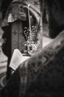 С праздником Входа Господня в Иерусалим, братья и сёстры!