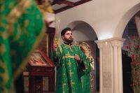 С праздником Входа Господня в Иерусалим, братья и сёстры!