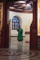 С праздником Входа Господня в Иерусалим, братья и сёстры!