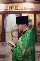 С праздником Входа Господня в Иерусалим, братья и сёстры!