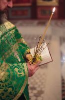 С праздником Входа Господня в Иерусалим, братья и сёстры!