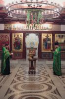 С праздником Входа Господня в Иерусалим, братья и сёстры!