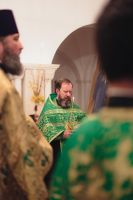 С праздником Входа Господня в Иерусалим, братья и сёстры!