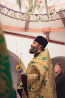 С праздником Входа Господня в Иерусалим, братья и сёстры!