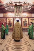 С праздником Входа Господня в Иерусалим, братья и сёстры!