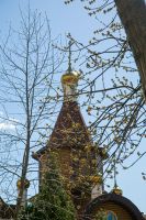 С праздником Входа Господня в Иерусалим, братья и сёстры!