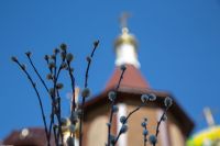 С праздником Входа Господня в Иерусалим, братья и сёстры!