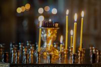 С праздником Входа Господня в Иерусалим, братья и сёстры!