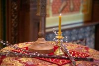 С праздником Входа Господня в Иерусалим, братья и сёстры!