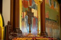 С праздником Входа Господня в Иерусалим, братья и сёстры!